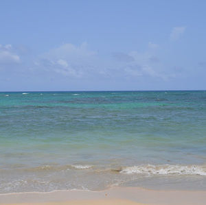 Meet your Posher, Jimisha